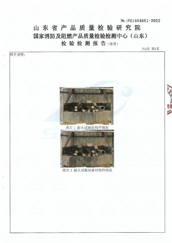 柔性有机堵料DR-A3型式试验报告